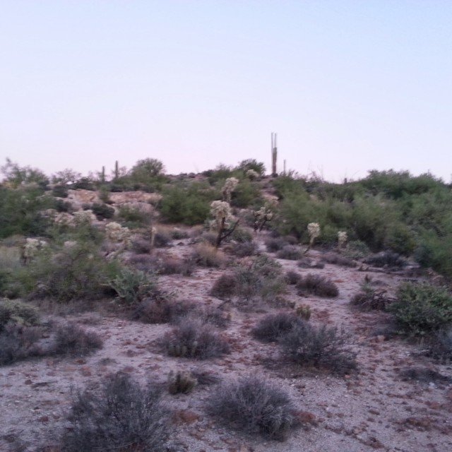 Superstition Mountains: Further along First Water Trail