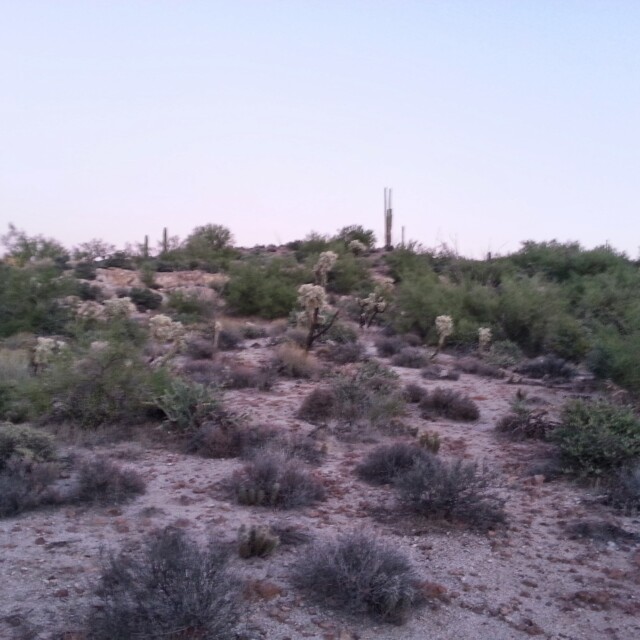 Superstition Mountains: Further along First Water Trail