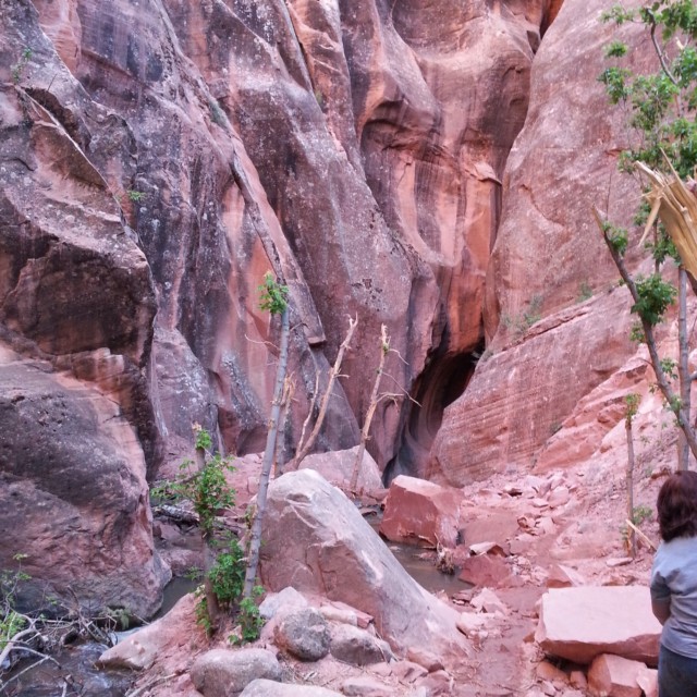 Kanarraville Falls Hike - looking backwards into the slot