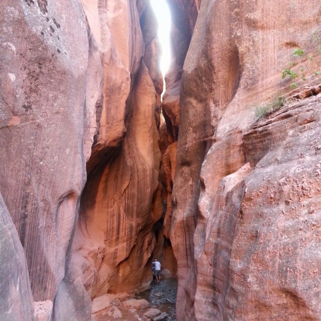 Kanarraville Falls Hike - heading back down
