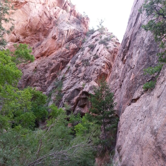 Kanarraville Falls Hike - getting dark in the canyon