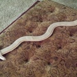 The King and I - Sword