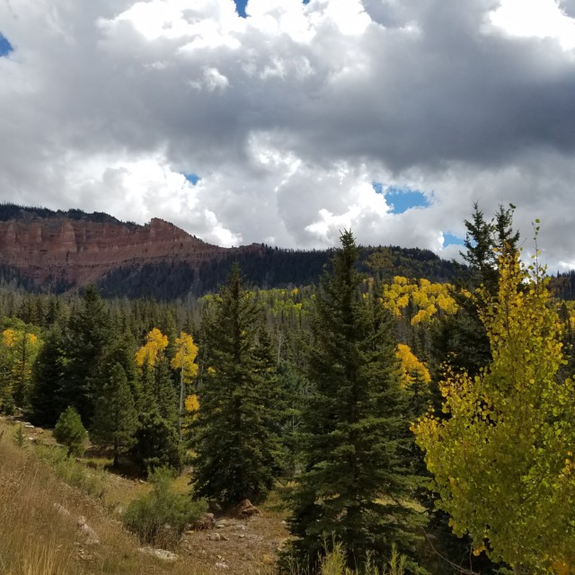 Mixed forest with red rocks on the Markagunt Plateau 10/1/2016
