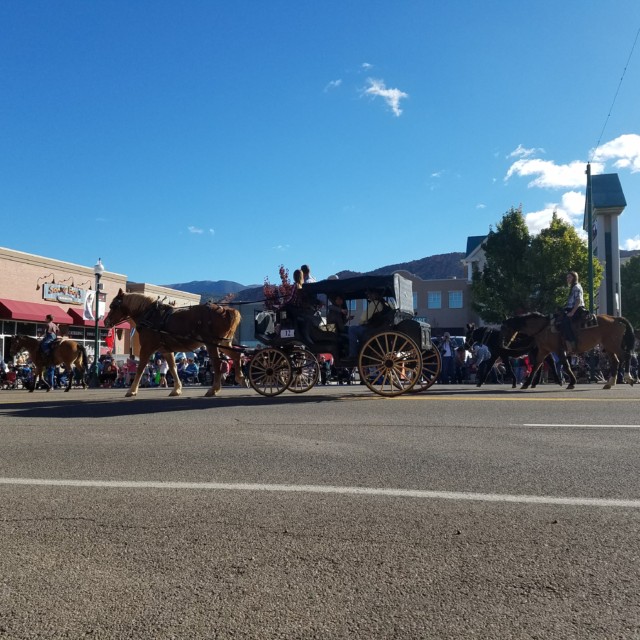 Carriages in the Sheep Parade - Cedar City, UT