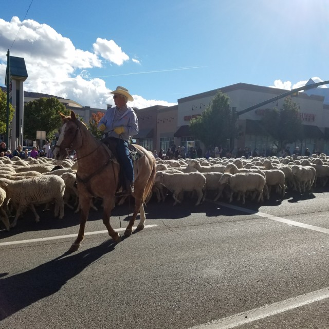 Sheep herders in the Sheep Parade - Cedar City, UT