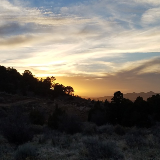Sunset Trail Running with Roxy