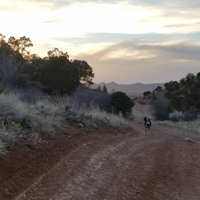 Sunset Trail Running with Roxy