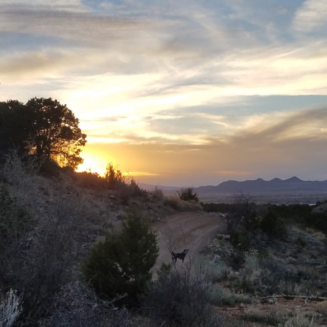 Sunset Trail Running with Roxy