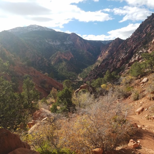 Thunderbird 50K Course 10