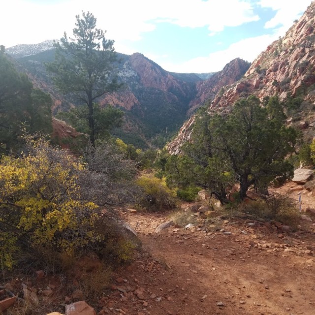 Thunderbird 50K Course 11