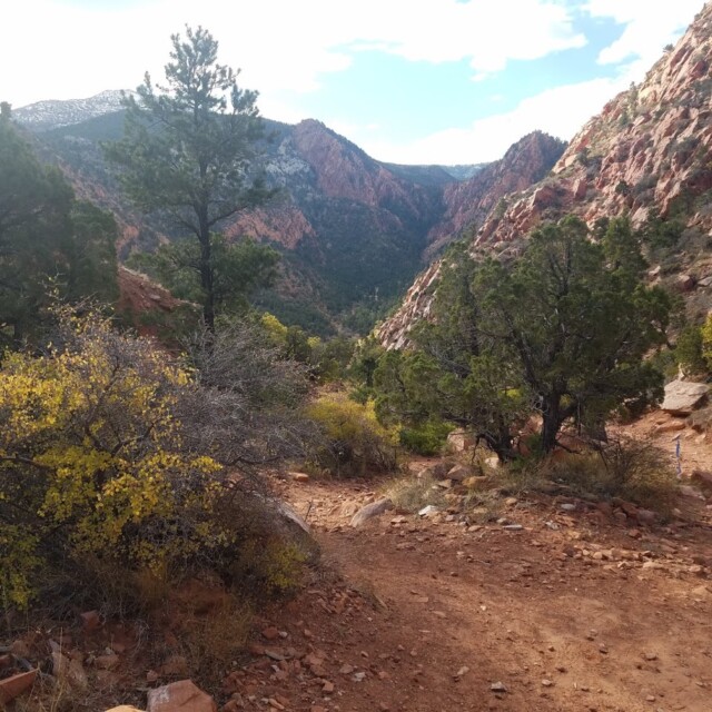 Thunderbird 50K Course 11