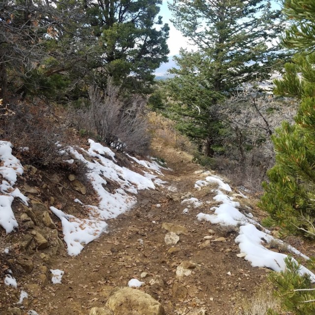 Thunderbird 50K Course 15