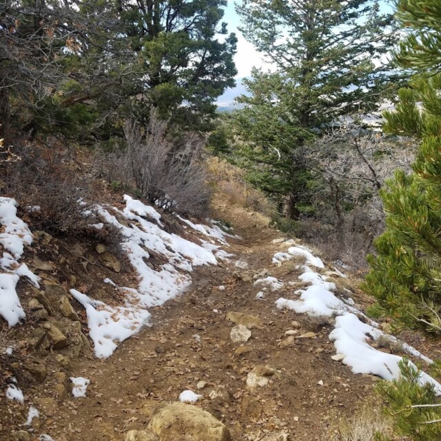 Thunderbird 50K Course 15