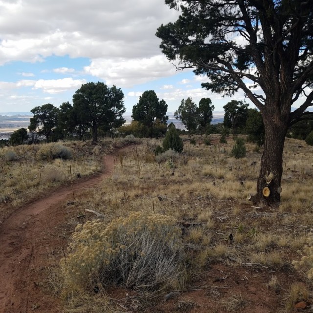 Thunderbird 50K Course 20