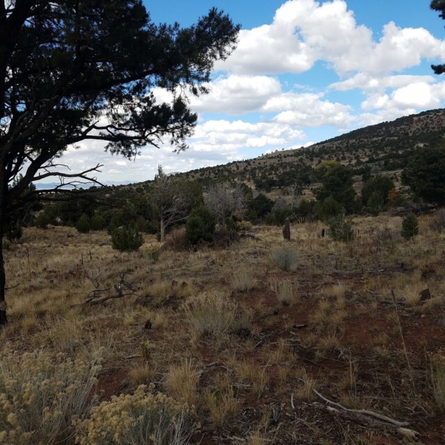 Thunderbird 50K Course 21