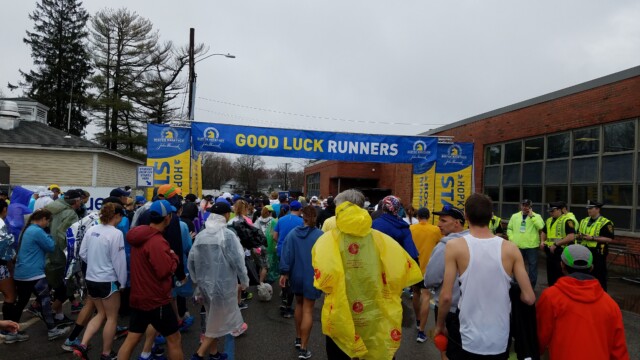 Everything is blue and gold. Great branding, actually.