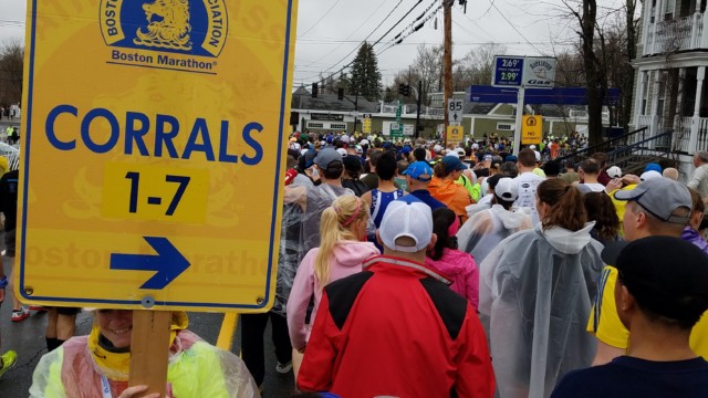 This way to the corrals.