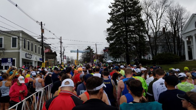 Just getting to Corral 7. Five more to go.