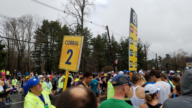 Finally! My starting corral!