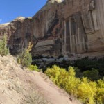 Hike to Lower Calf Creek Falls
