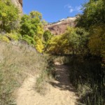 Hike to Lower Calf Creek Falls