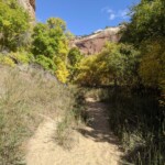 Hike to Lower Calf Creek Falls