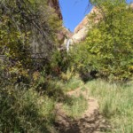 Lower Calf Creek Falls from a Distance