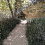 Hike to Lower Calf Creek Falls