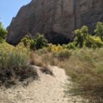 Hike to Lower Calf Creek Falls