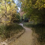 Hike to Lower Calf Creek Falls