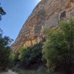 Hike to Lower Calf Creek Falls