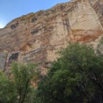 Hike to Lower Calf Creek Falls