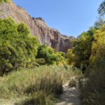 Hike to Lower Calf Creek Falls