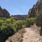 Hike to Lower Calf Creek Falls