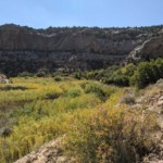 Hike to Lower Calf Creek Falls