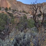 Hike to Lower Calf Creek Falls
