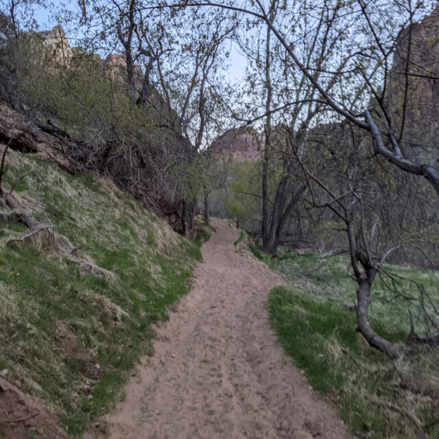 Sandstone cliffs make for sandy trails. These easy-to-access trails have double ruts in them from tourists passing in two lanes.