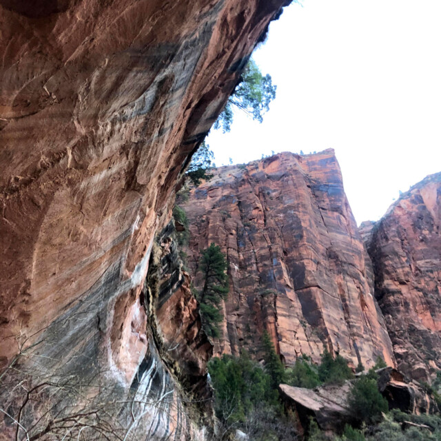 Looking up at the water dripping down into the Emerald Pools from Heaps Canyon.