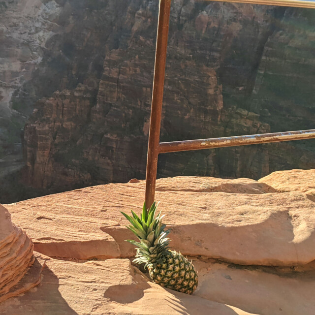 Somebody left a pineapple next to the guard rail. WTF? Beyond this is a 2,500-foot dropoff to the valley floor below.