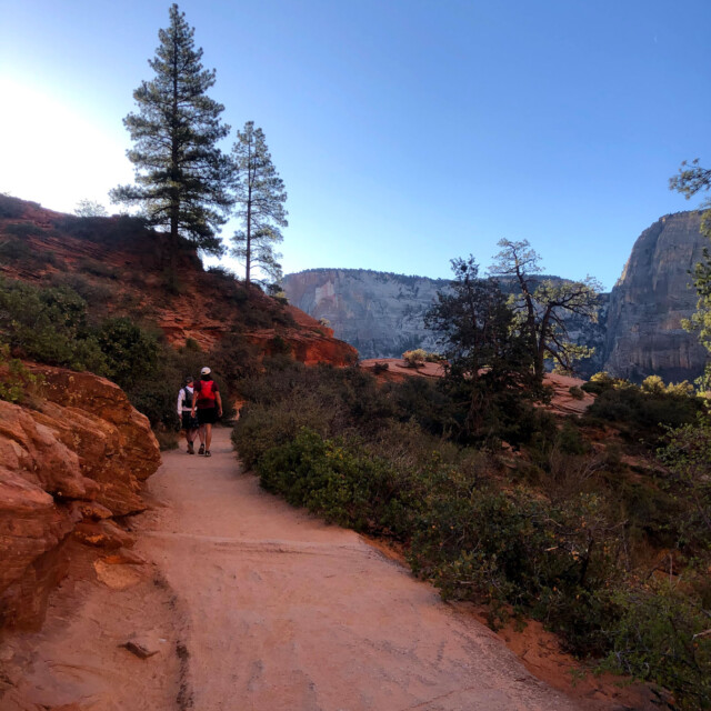 Much of the trail beyond Scout Lookout had been "improved" with concrete. I'm sure the Park Service regrets this.