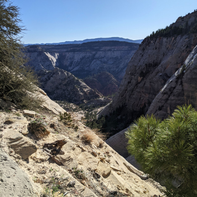 Looking back the way we came. That's a lot of climbing!