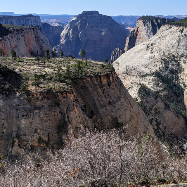 Up along the West Rim Trail, you can see the remains of the plateau carved up by the river and streams that created the canyons of Zion.