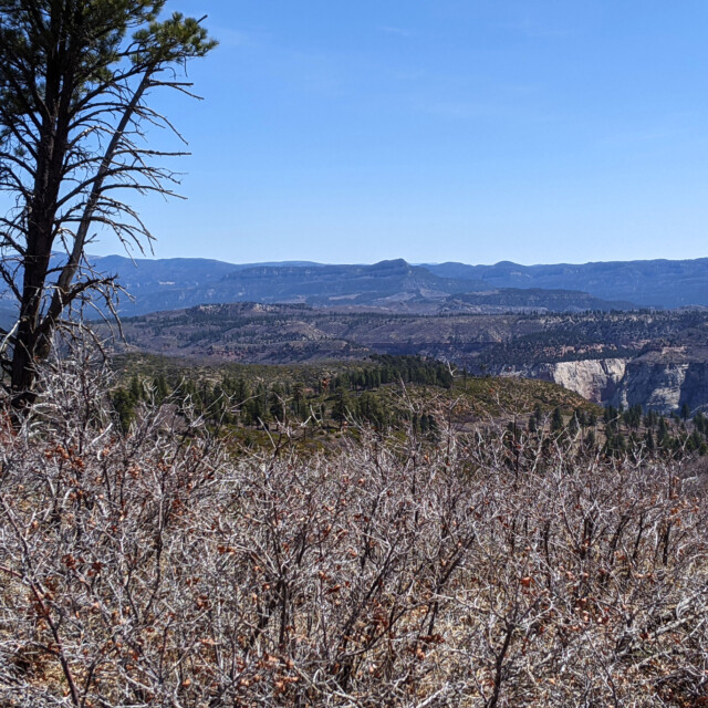 Since it's still early spring, the scrub oaks were still bare of leaves. I'd like to come back in the fall to see the colors.