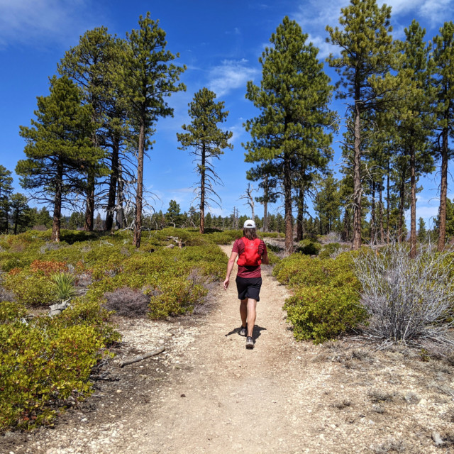 Shadowing Jared on an uphill. We ran into several groups of hikers along this section of trail.