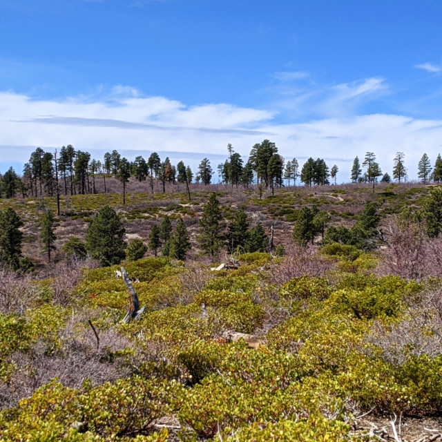 It looks like rolling hills, but it's actually the top of a big-ass mountain.