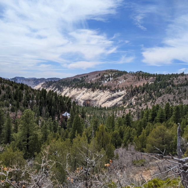 Forested slopes and cliffs—that was basically the theme for much of the day.