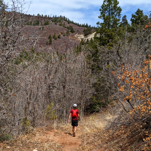Heading into Wildcat Canyon, still making pretty good time.