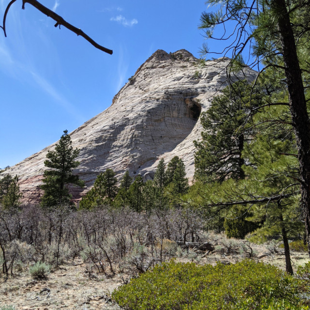 Beyond Wildcat Canyon is the "Connector Trail" that leads over to the Hop Valley Trailhead. The terrain was flatter here, with lots of interesting rock formations.